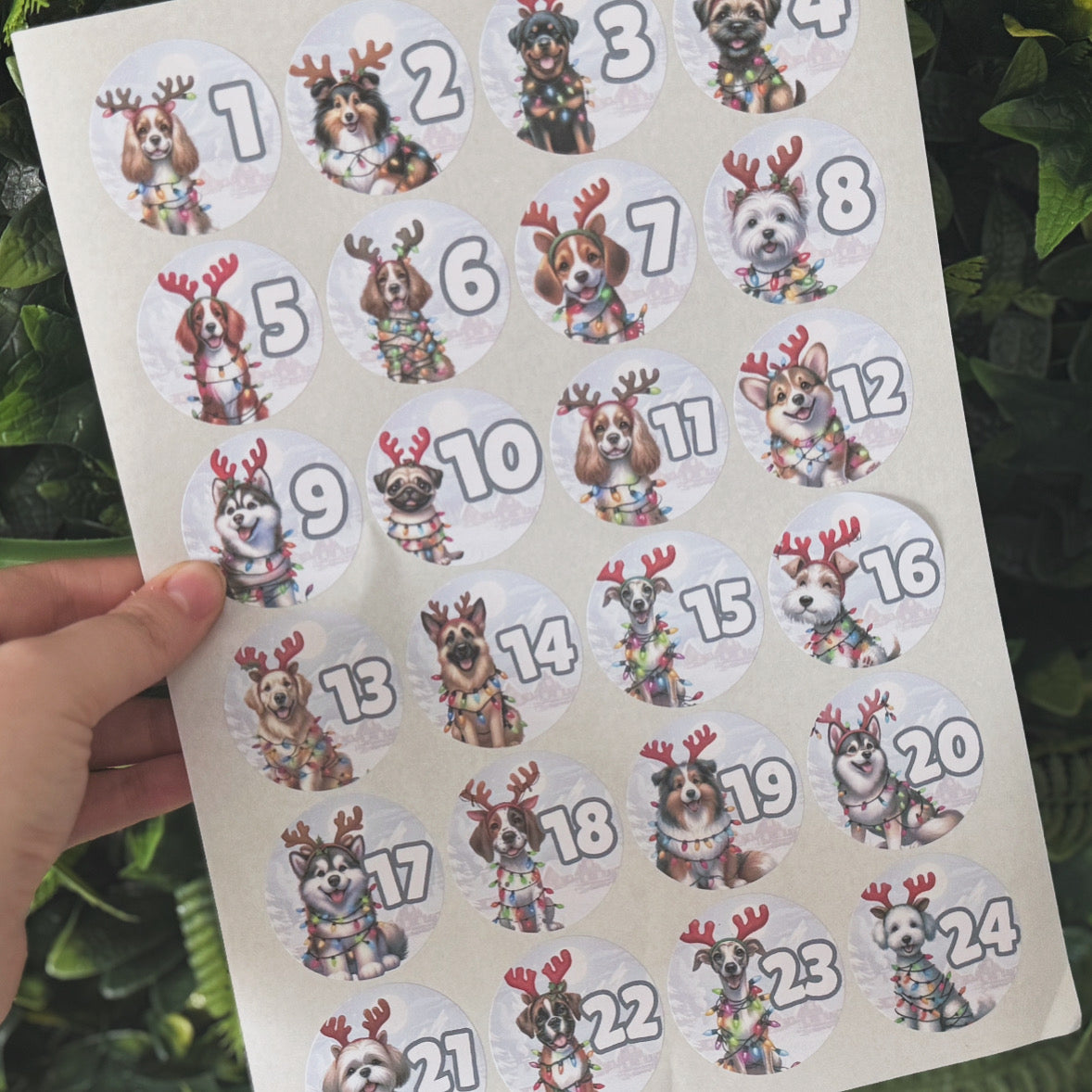 Dog Advent Stickers