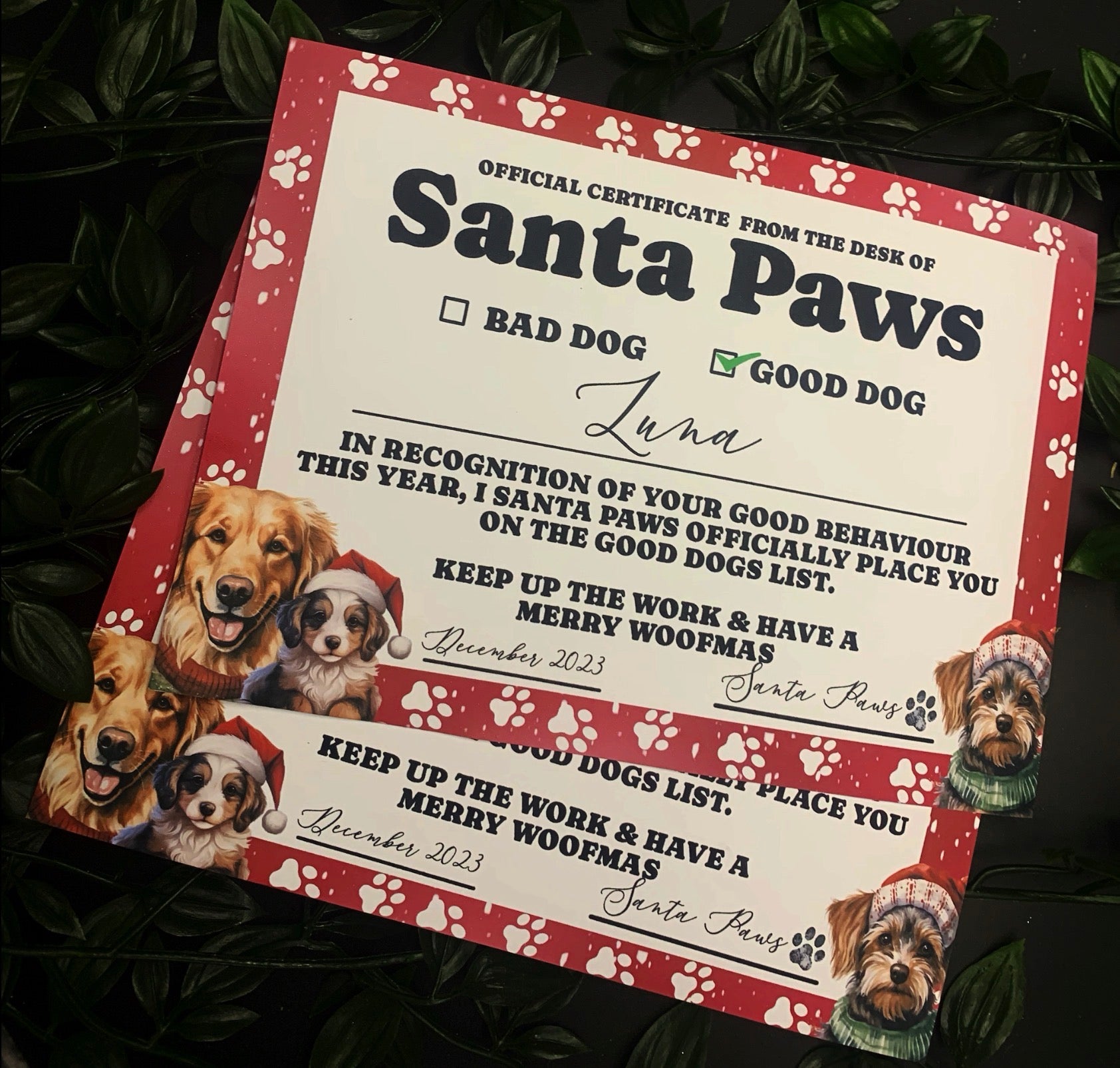 Santa Paws certificate