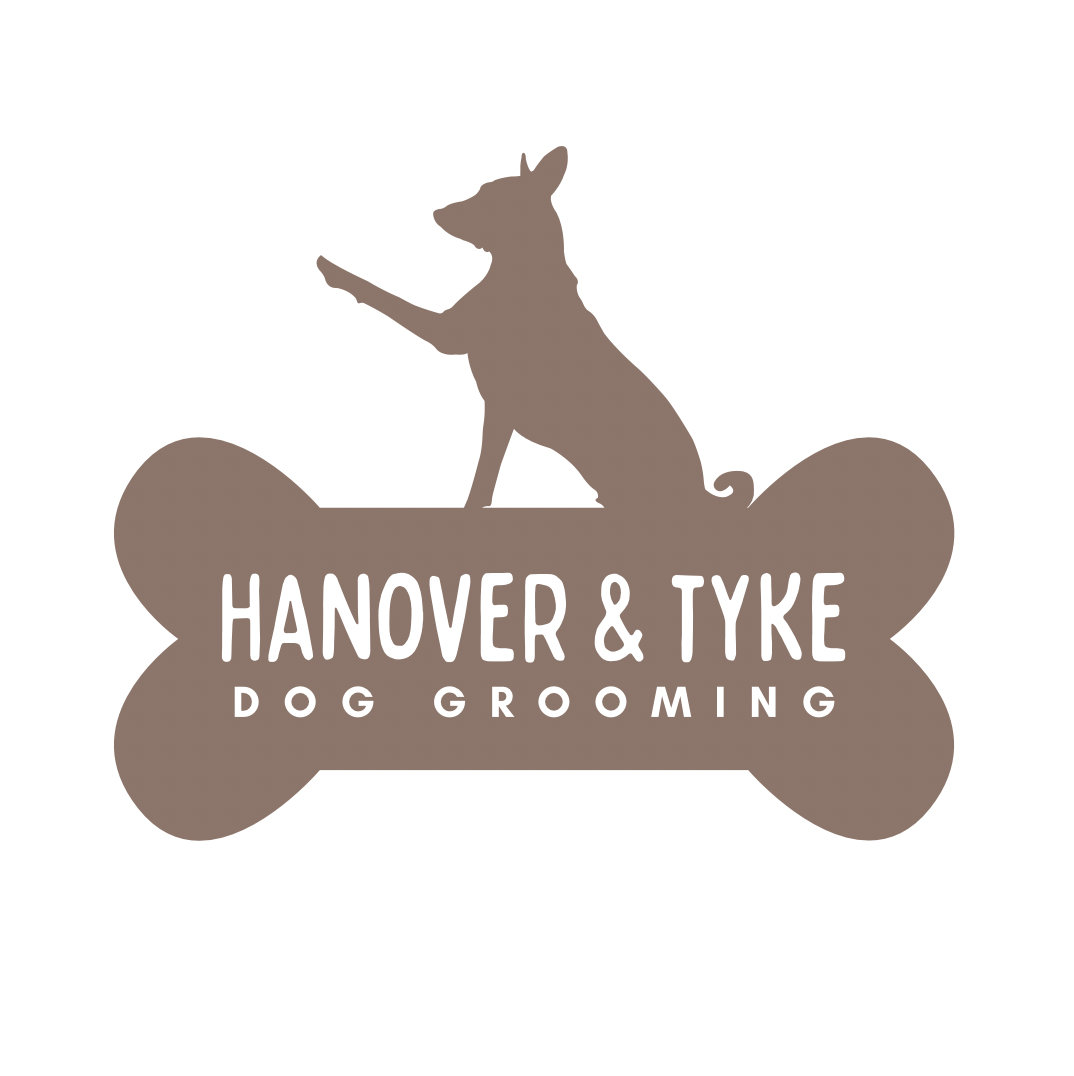 Dog & A Bone Logo
