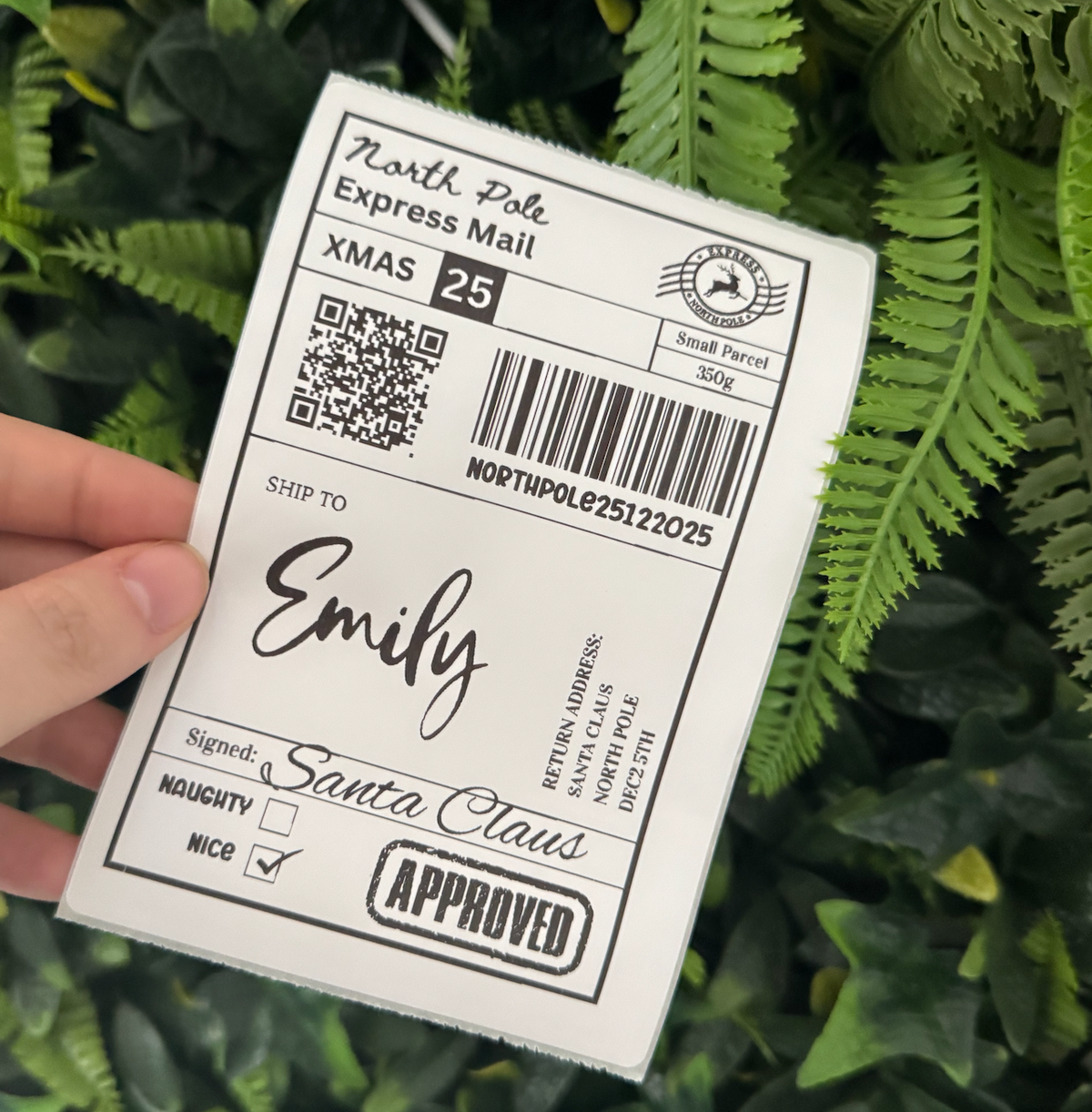 Christmas Address Label